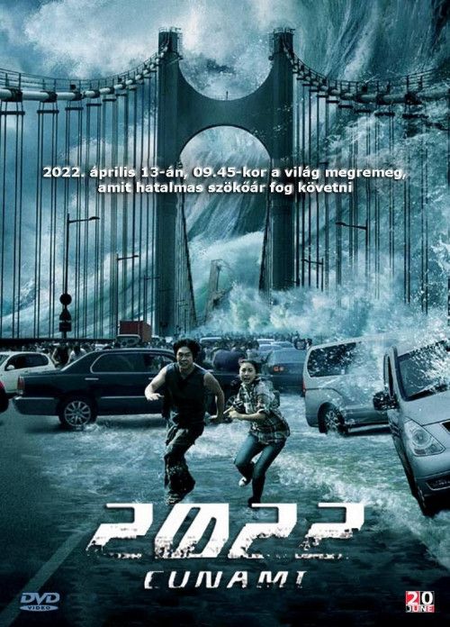 poster of 2022 Tsunami (2009) Hindi Dubbed HDRip