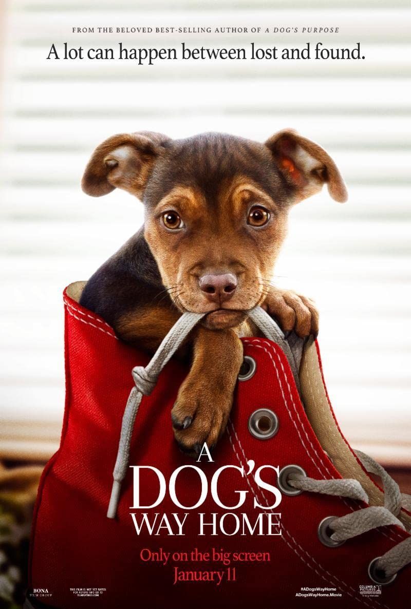 poster of A Dogs Way Home (2019) Hindi Dubbed BluRay