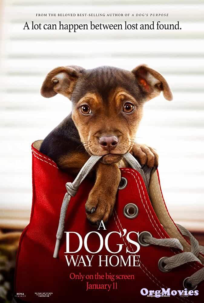 poster of A Dogs Way Home 2019 Hindi Dubbed Full Movie