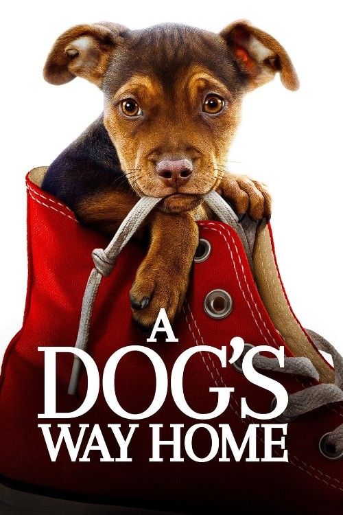 poster of A Dogs Way Home 2019 Hindi Dubbed Movie