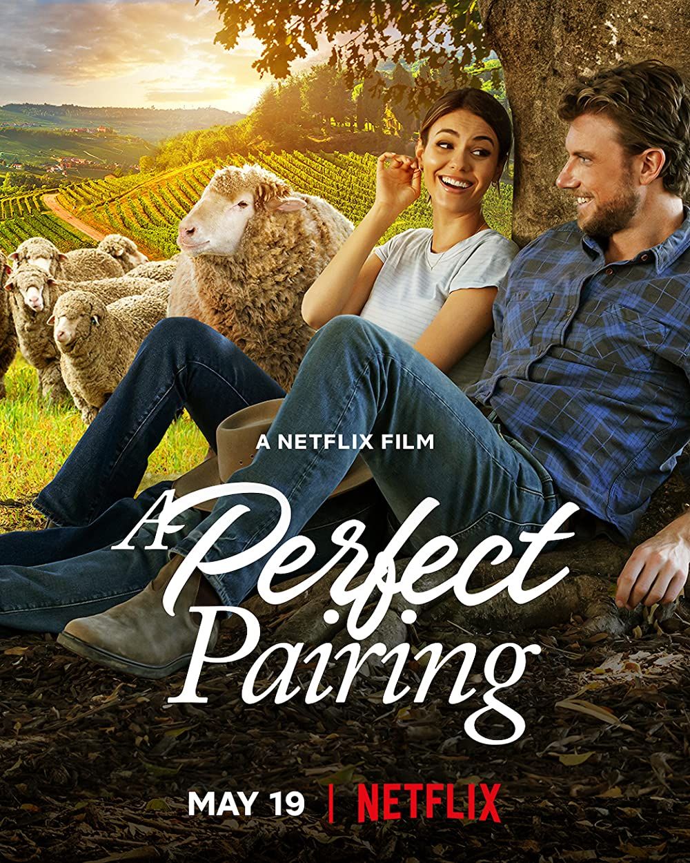 poster of A Perfect Pairing (2022) Hindi Dubbed WEB-DL