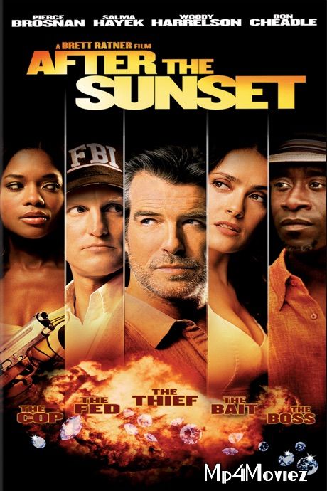 poster of After the Sunset (2004) Hindi Dubbed BluRay