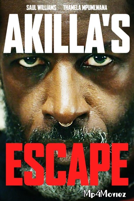 poster of Akillas Escape (2020) Hindi Dubbed WEBRip