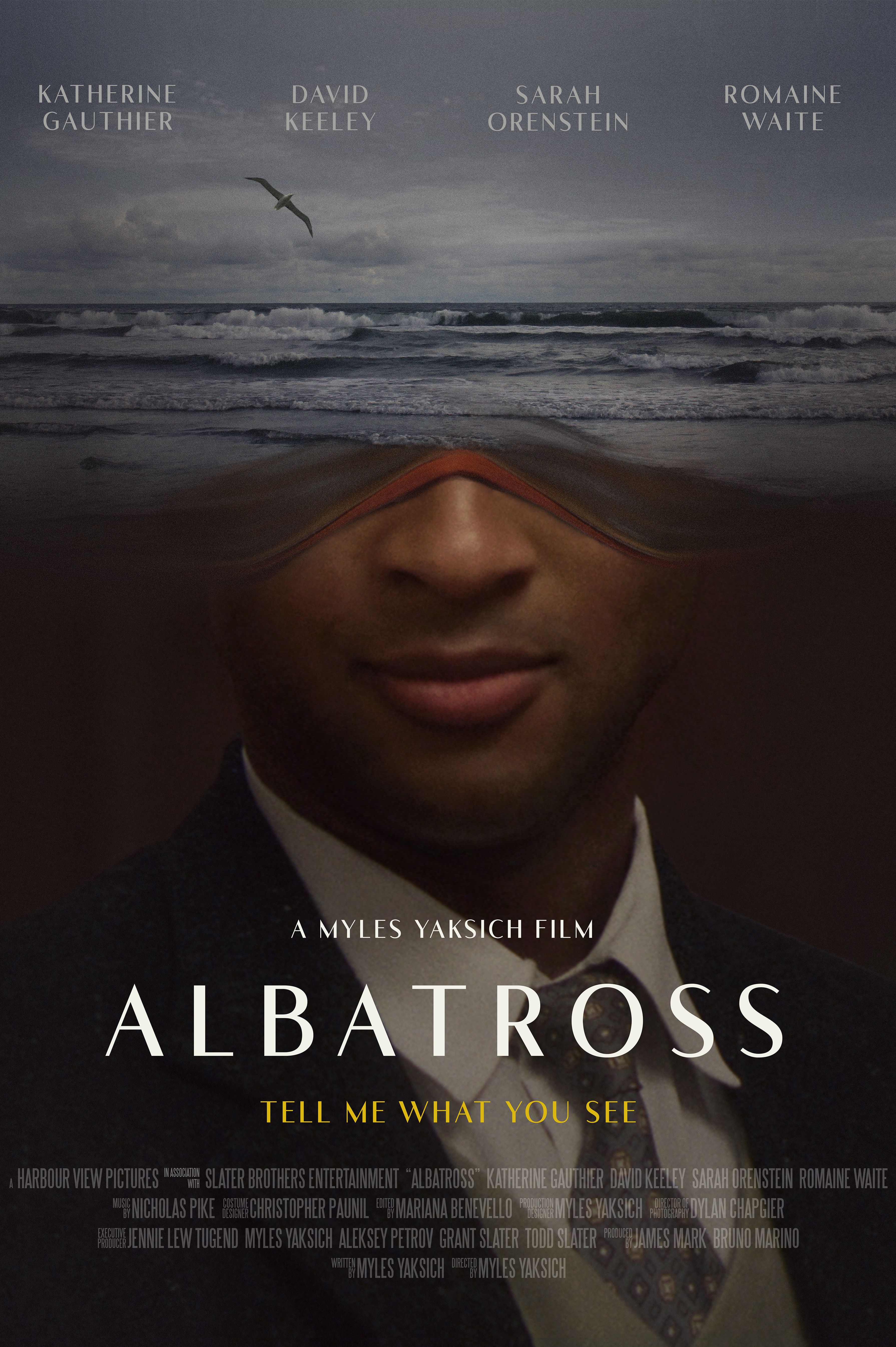 poster of Albatross (2022) Tamil Dubbed (Unofficial) WEBRip