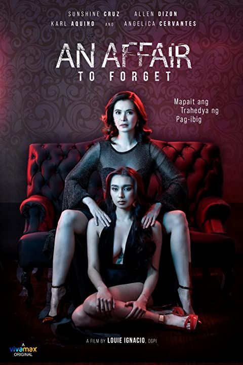 poster of An Affair to Forget 2022 Hindi Dubbed (Unofficial) WEBRip