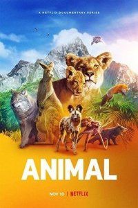 poster of Animal (2021) Season 1 Hindi Dubbed Netflix Series