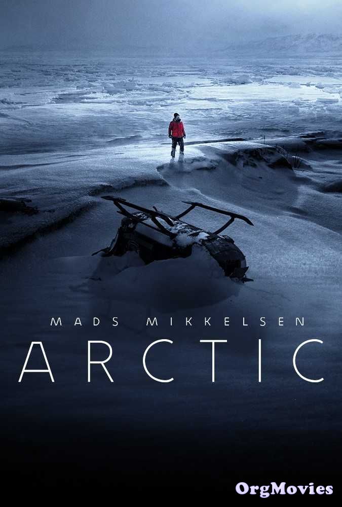 poster of Arctic 2019 Full Movie