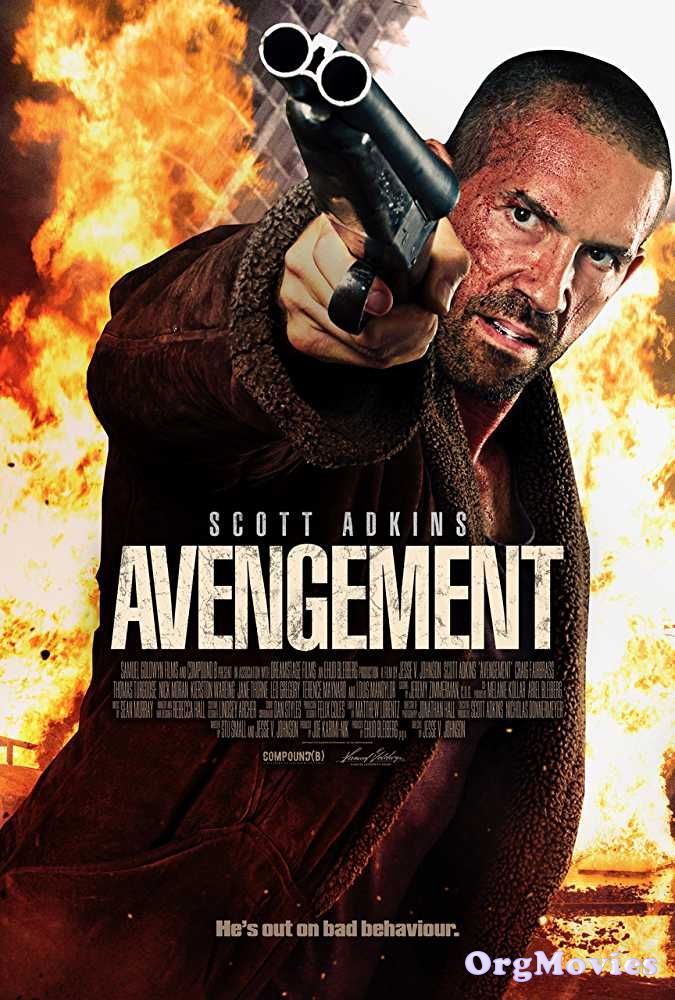 poster of Avengement 2019 Full Movie