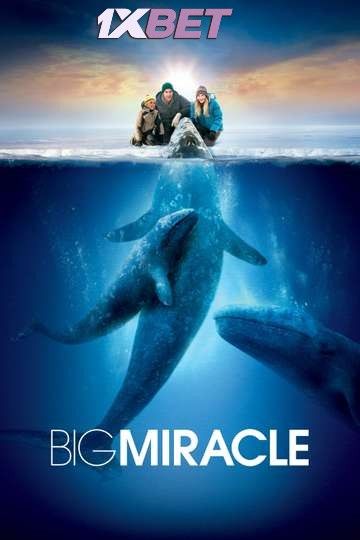 poster of Big Miracle (2012) Hindi ORG Dubbed BluRay