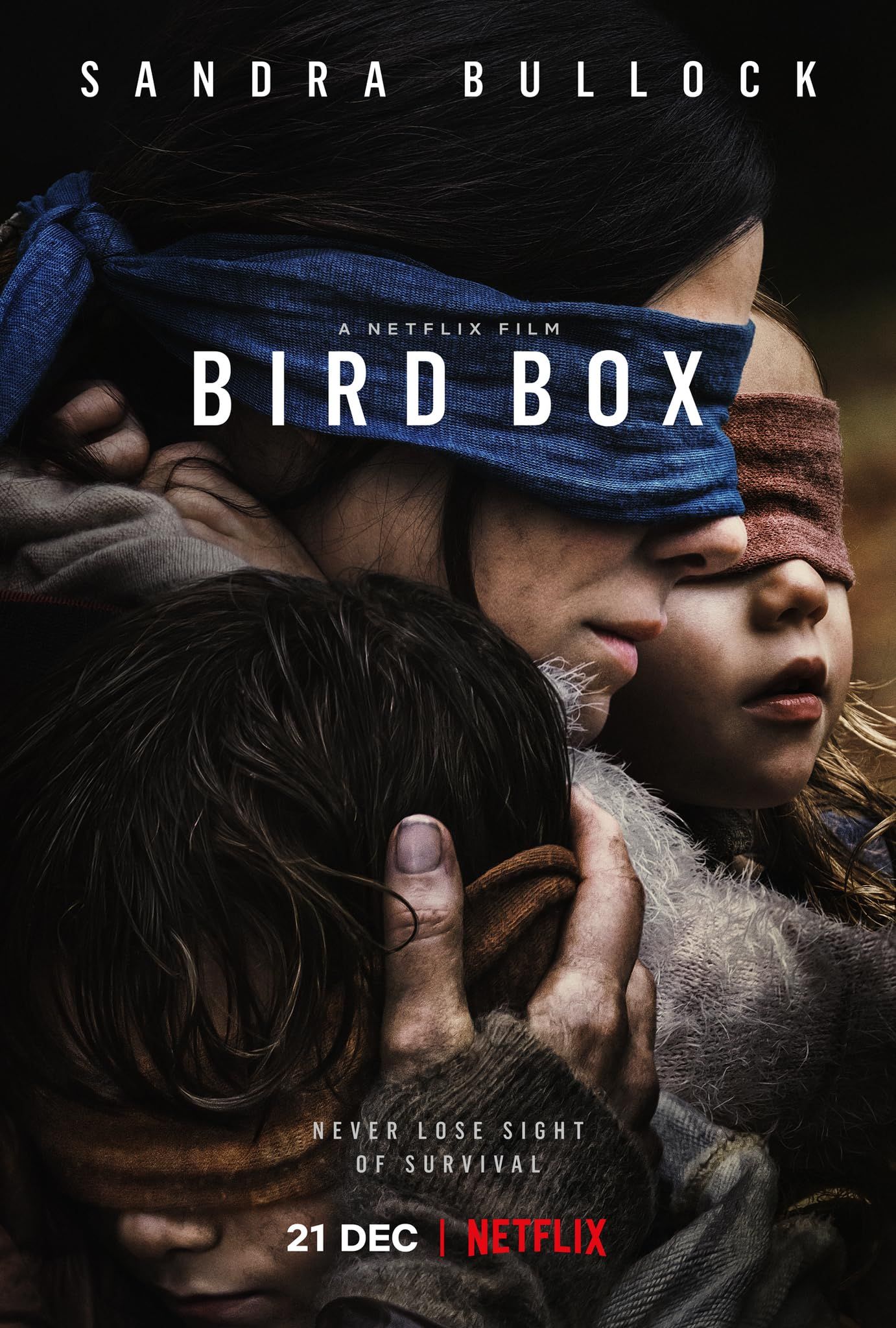 poster of Bird Box (2018) Hollywood Movie BluRay