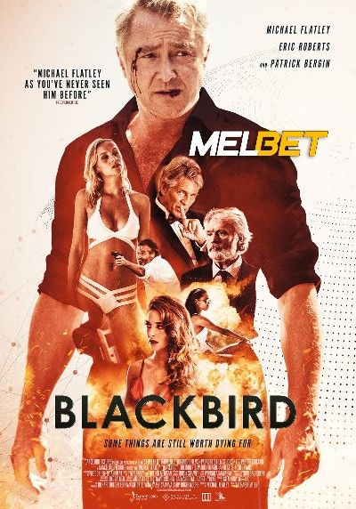 poster of Blackbird 2022 Hindi Dubbed (Unofficial) WEBRip