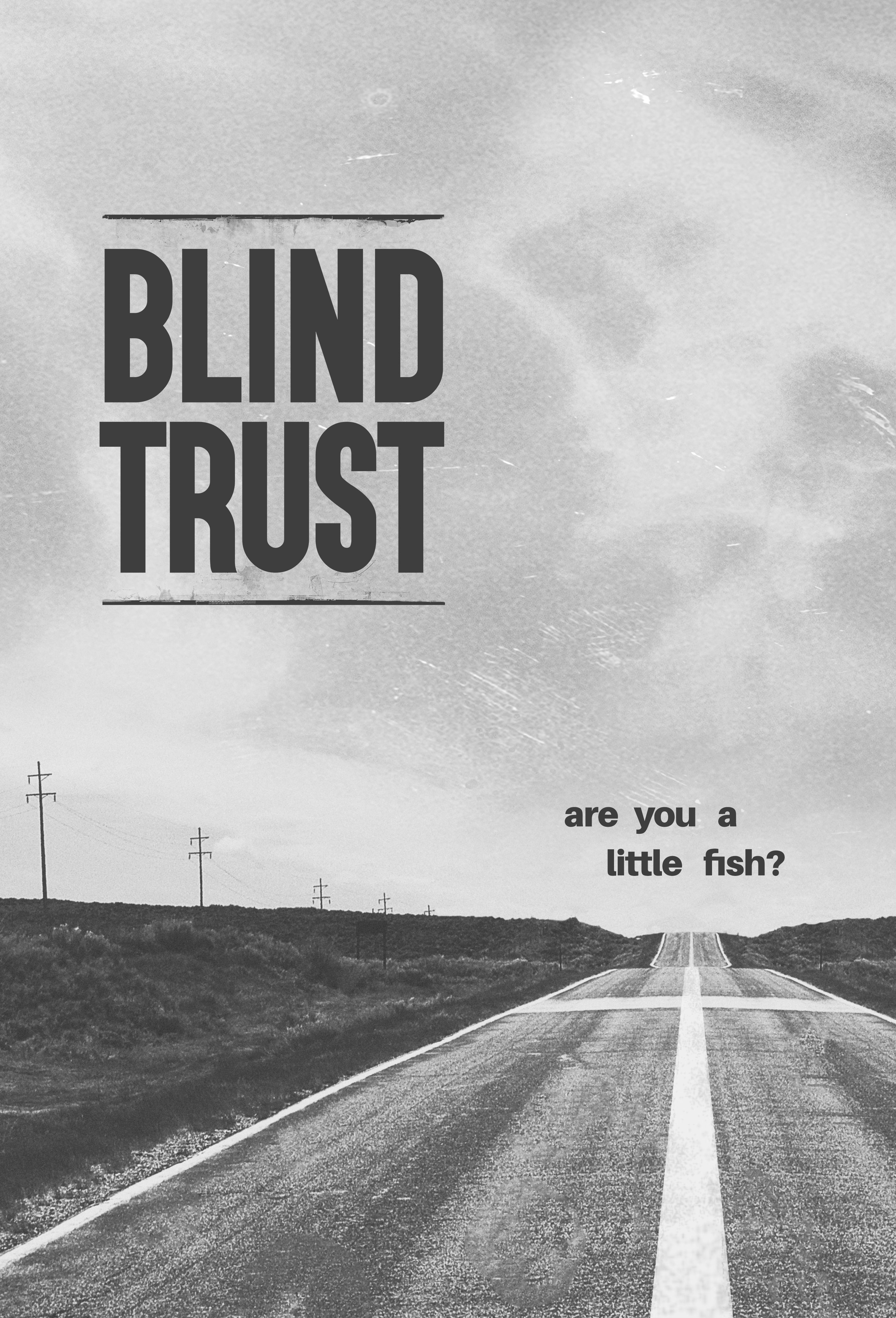 poster of Blind Trust (2022) Hindi Dubbed (Unofficial) WEBRip