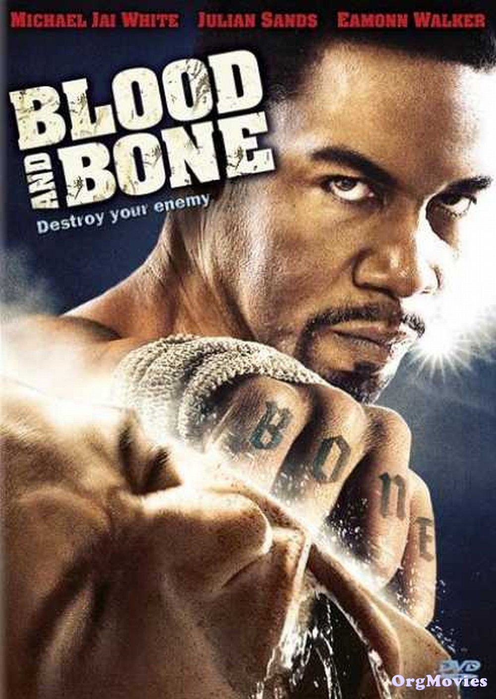 poster of Blood and Bone 2009 Hindi Dubbed Full Movie