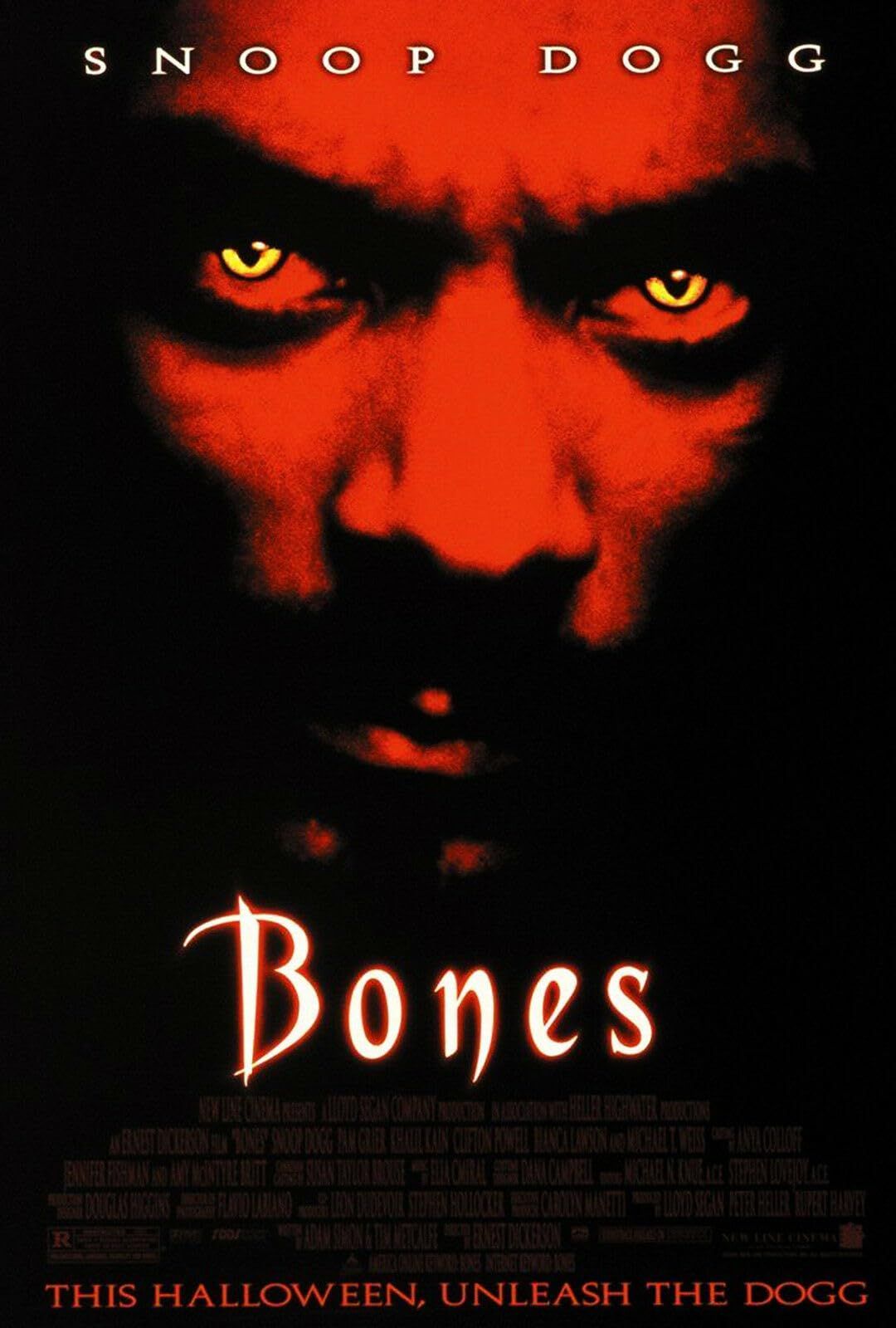 poster of Bones (2001) Hindi Dubbed