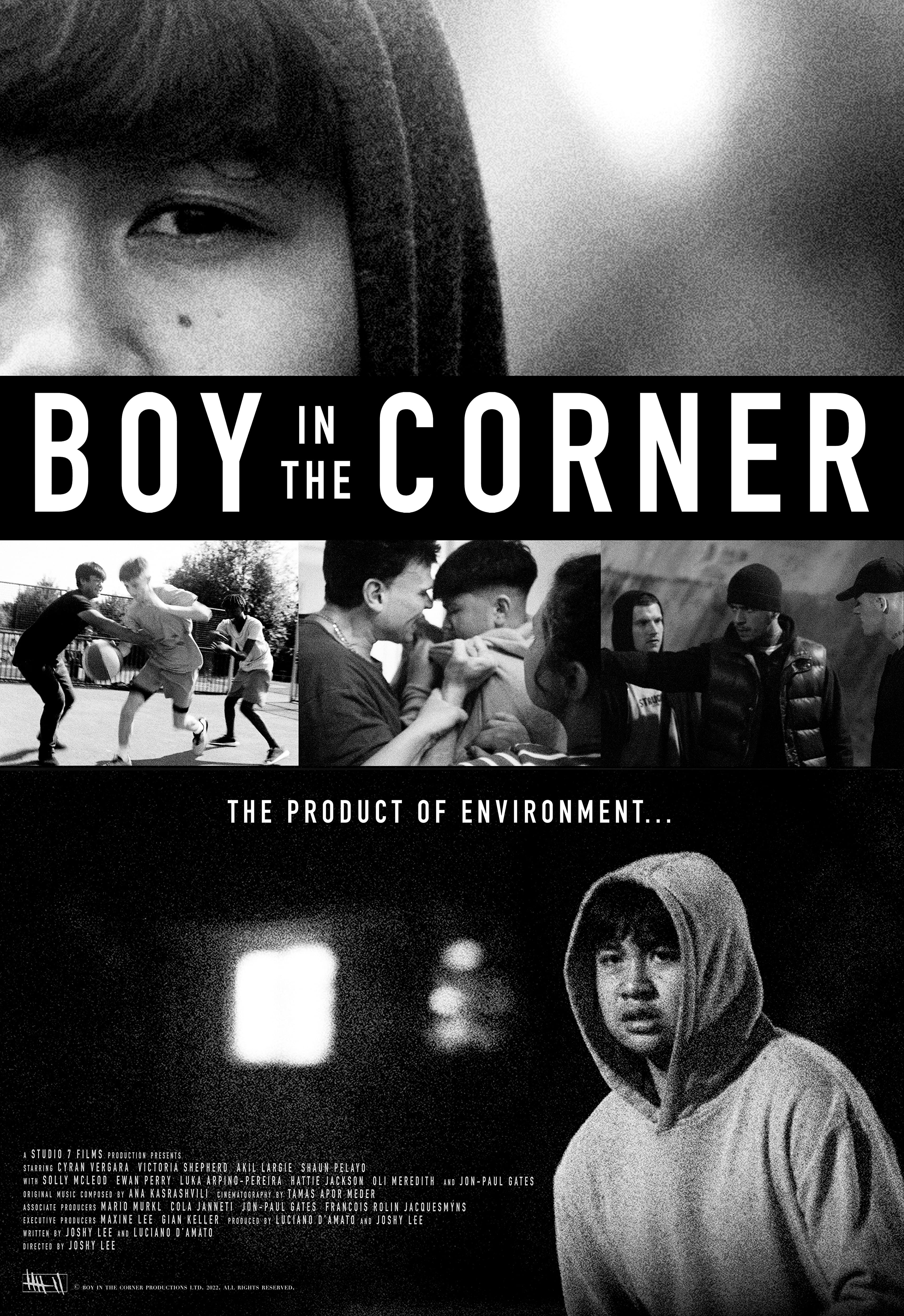 poster of Boy in the Corner 2022 Hindi Dubbed (Unofficial) WEBRip