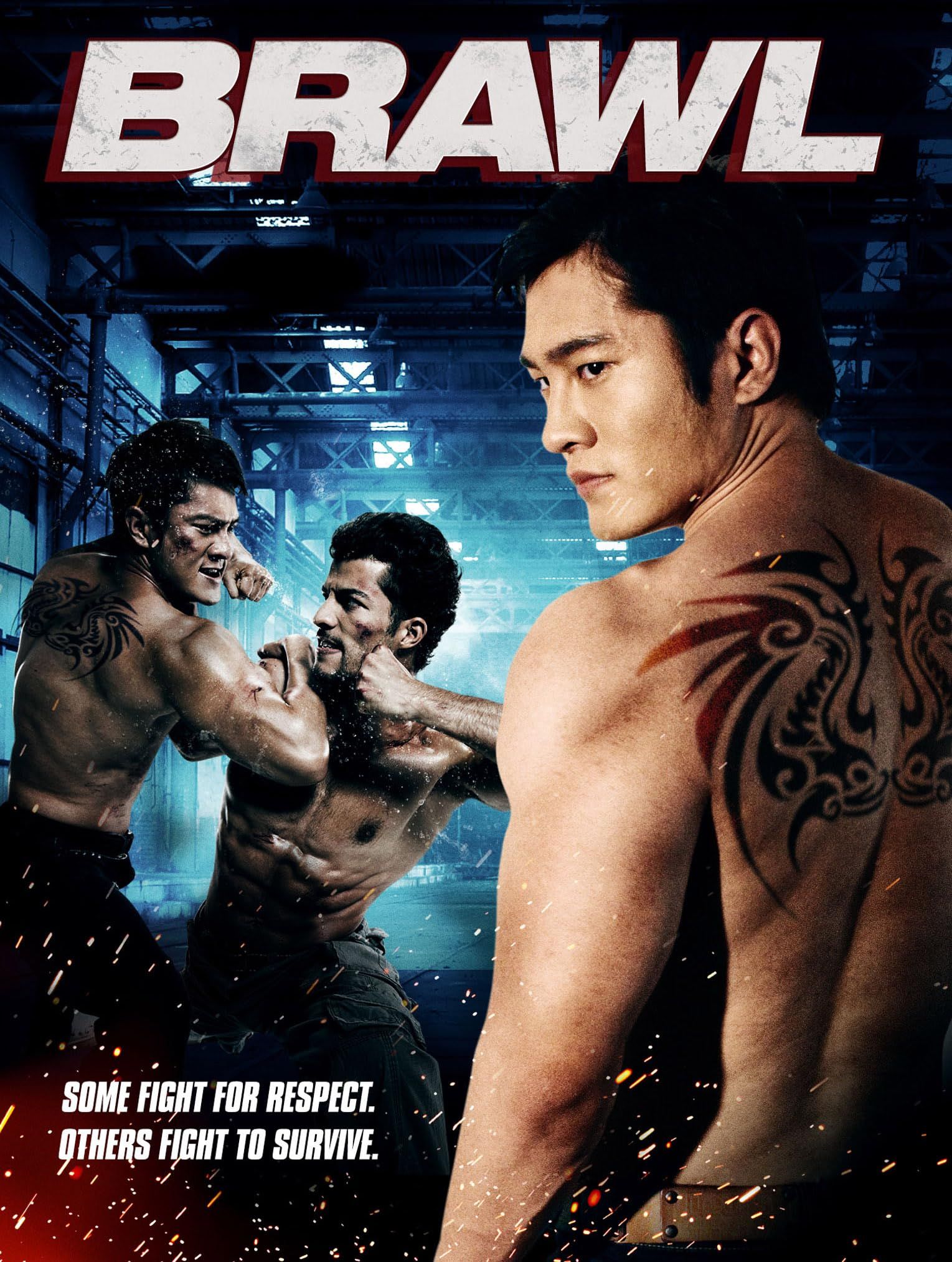 poster of Brawl (2012) Hindi Dubbed HDRip