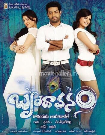 poster of Brindavanam - The Super Khiladi (2010) UNCUT Hindi Dubbed WEB-HDRip