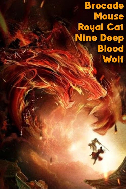 poster of Brocade Mouse Royal Cat Nine Deep Blood Wolf (2021) Hindi Dubbed Movie