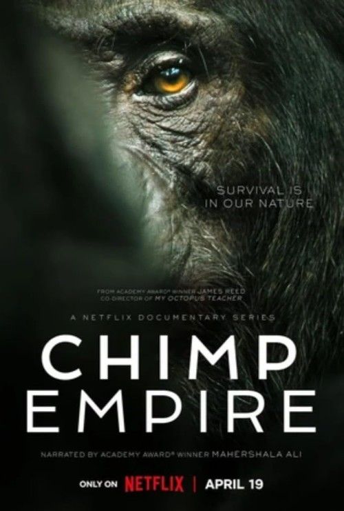 poster of Chimp Empire (2023) S01 Hindi Dubbed Series