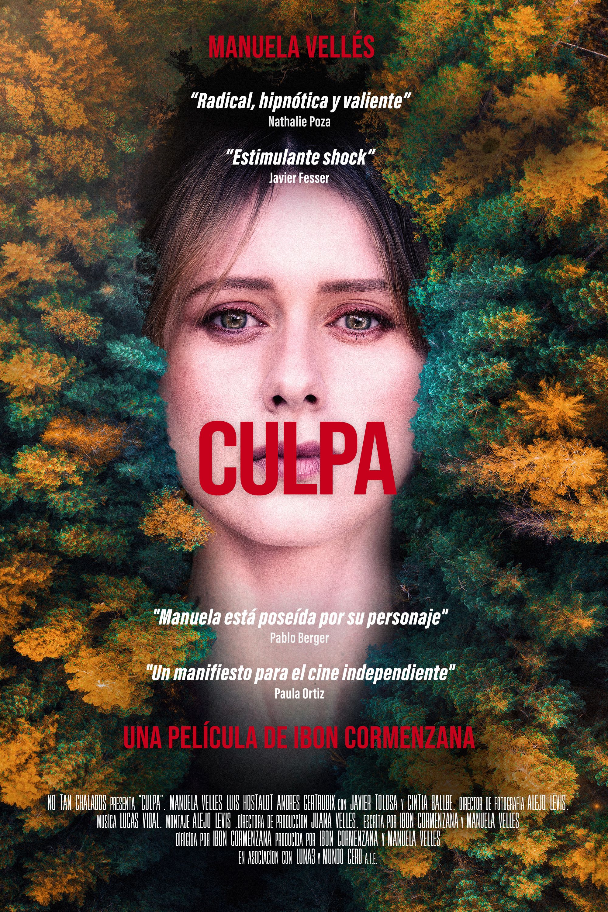 poster of Culpa (2022) Hindi Dubbed (Unofficial) WEBRip