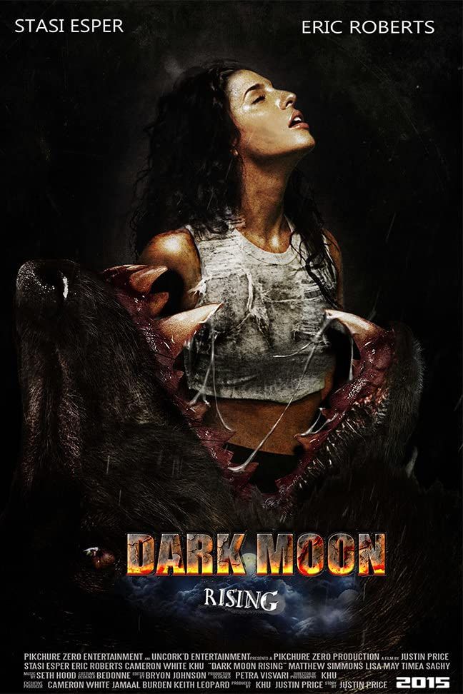 poster of Dark Moon Rising (2015) Hindi Dubbed BluRay