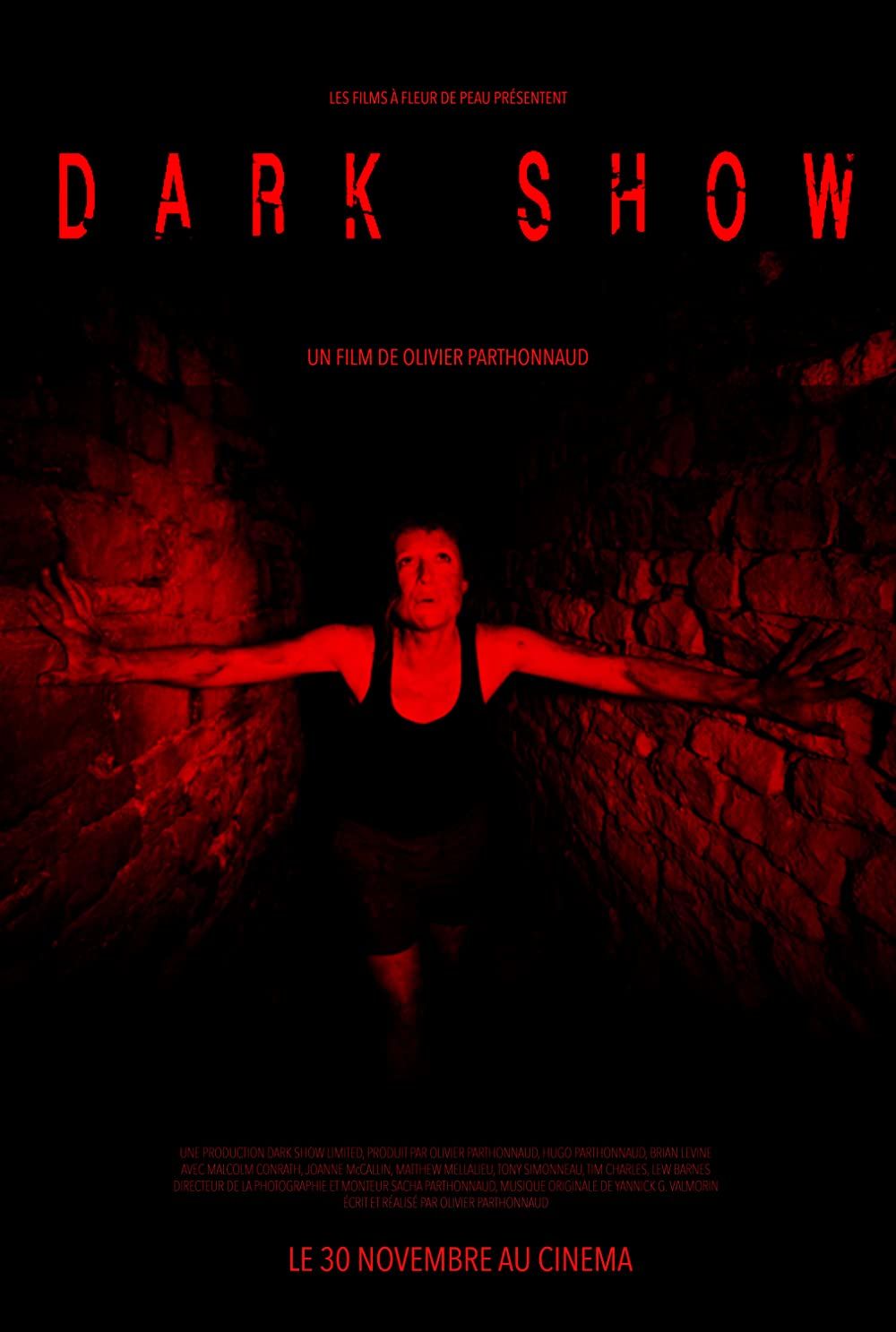 Dark Show (2016) Hindi Dubbed HDRip download full movie