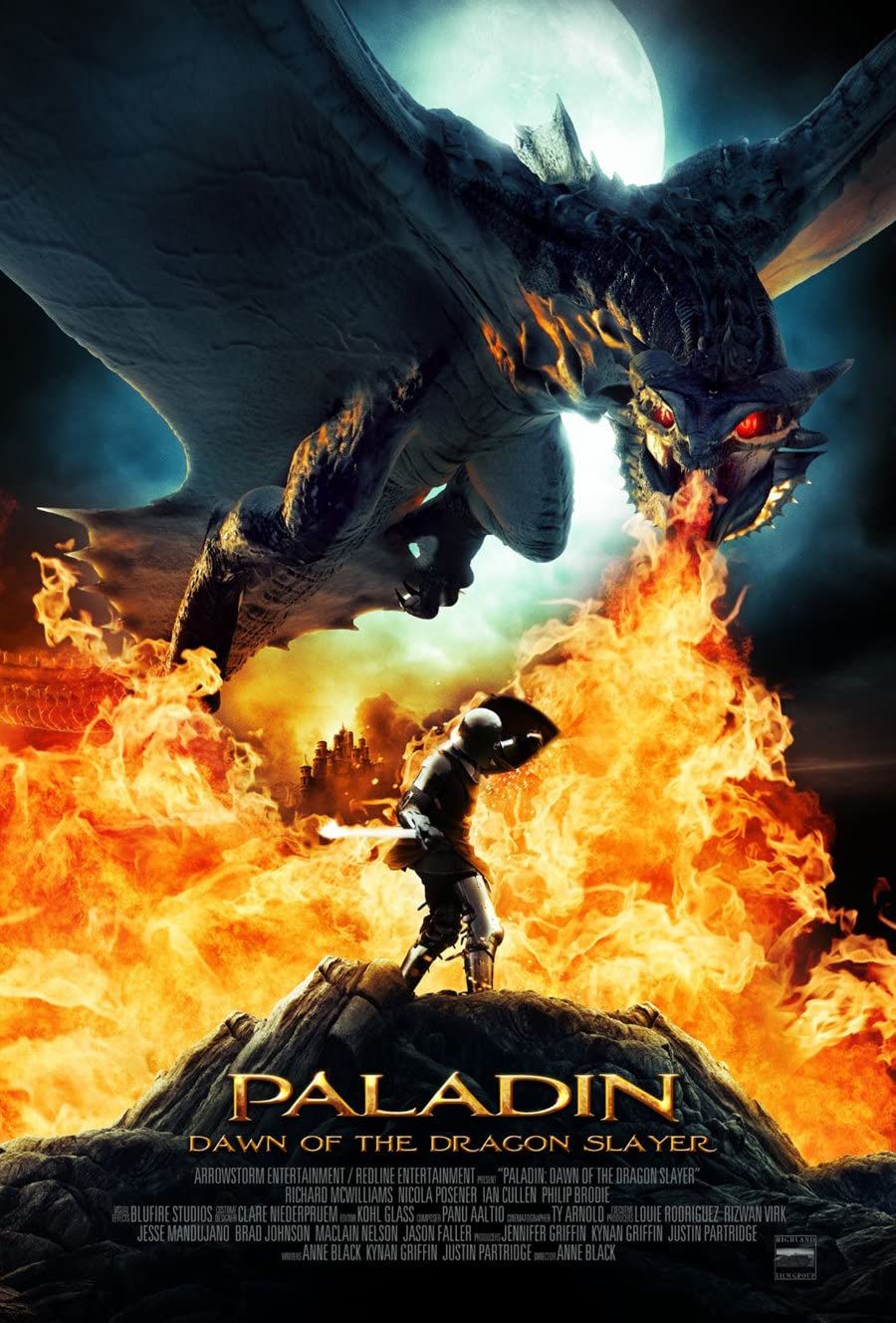 poster of Dawn of the Dragonslayer (2011) Hindi Dubbed BluRay