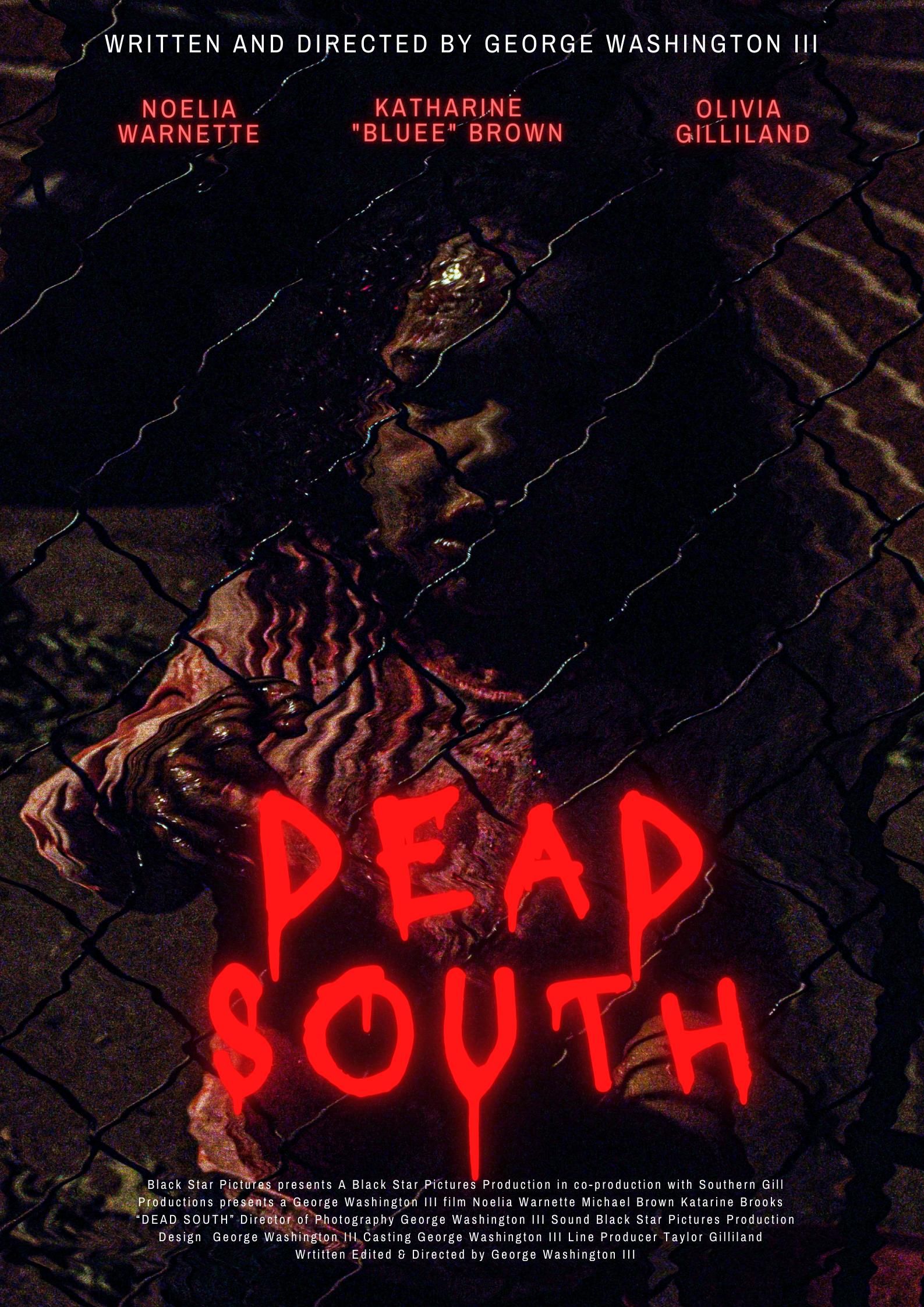 poster of Dead South (2021) Hindi Dubbed (Unofficial) WEBRip