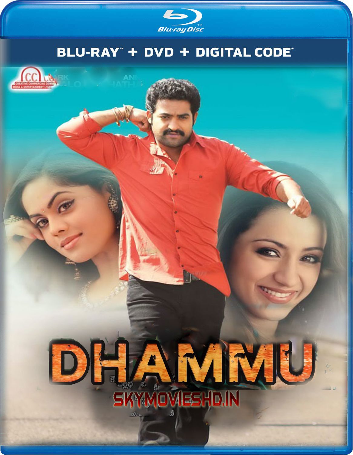 poster of Dhammu (2013) Hindi Dubbed UNCUT BluRay