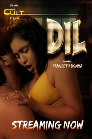 poster of DIL (2024) S01 Hindi (Episode 01-02) CultFlix WEB Series