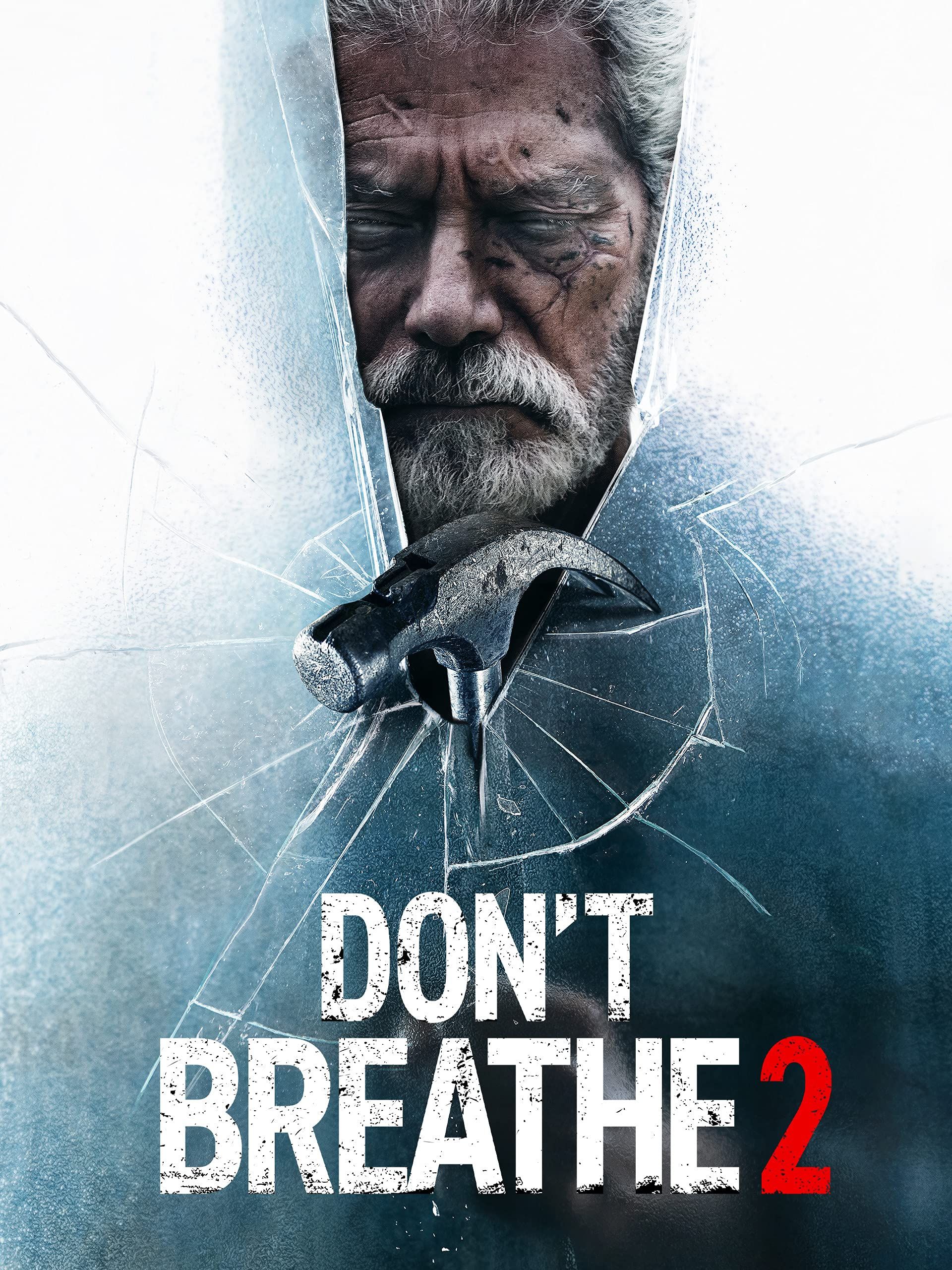 poster of Dont Breathe 2 (2021) Hindi (CAM Cleaned) Dubbed HDRip