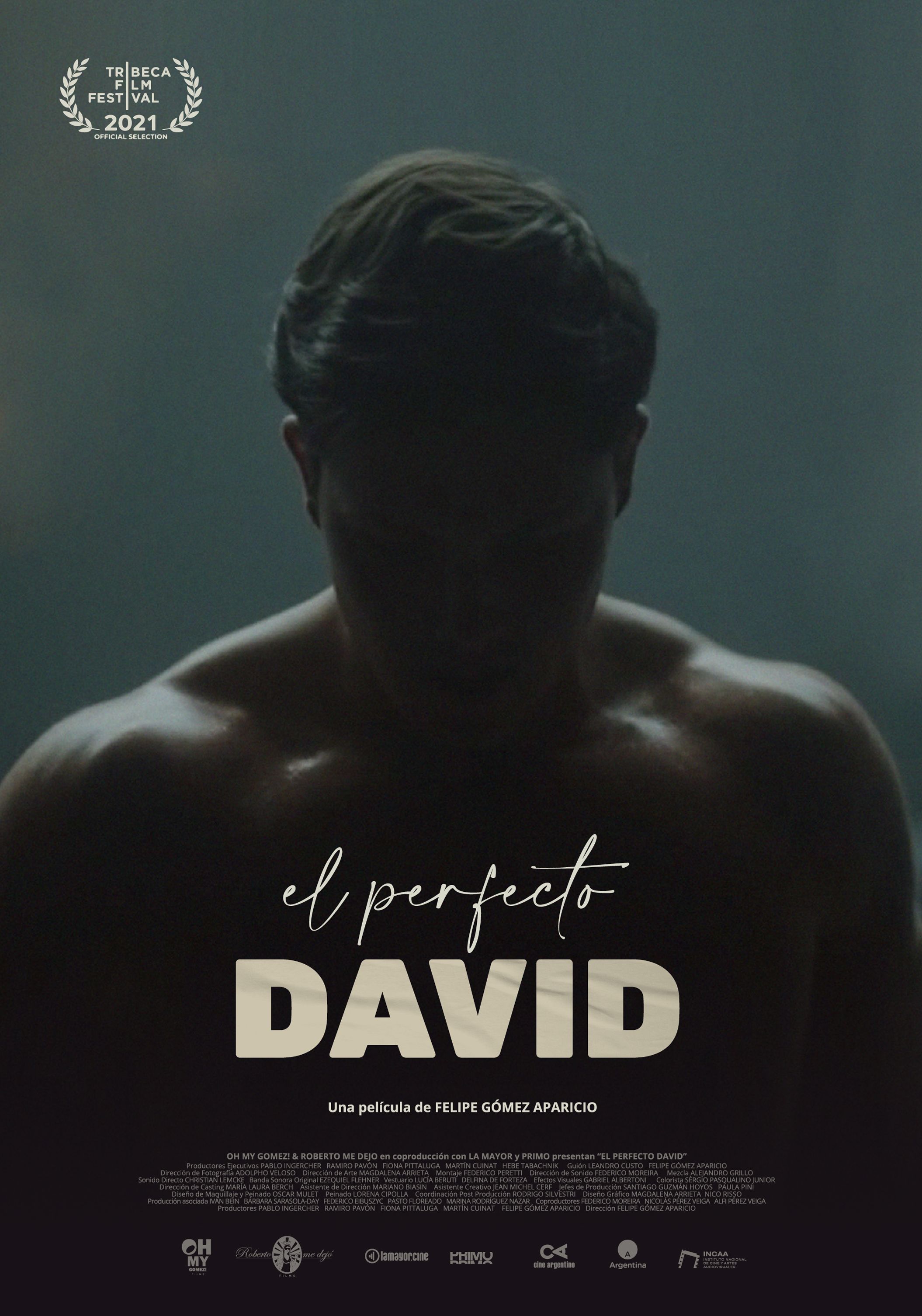 poster of El perfecto David (2022) Hindi Dubbed (Unofficial) WEBRip