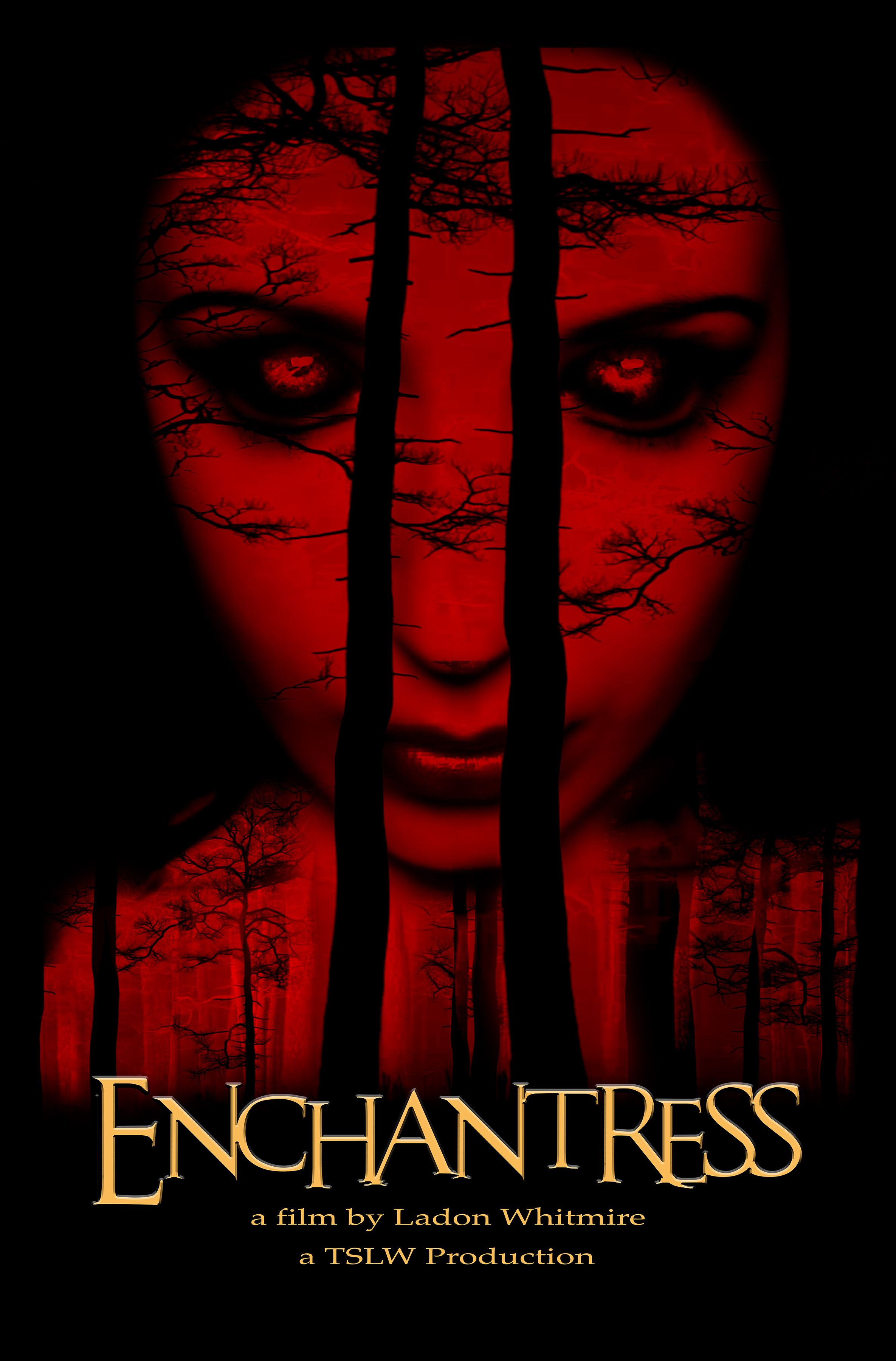 poster of Enchantress (2022) Bengali Dubbed (Unofficial) WEBRip