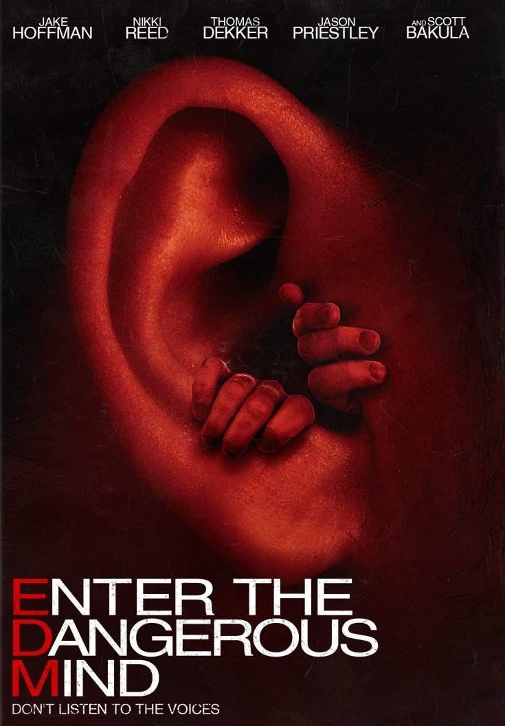 poster of Enter the Dangerous Mind (2013) Hindi Dubbed BluRay