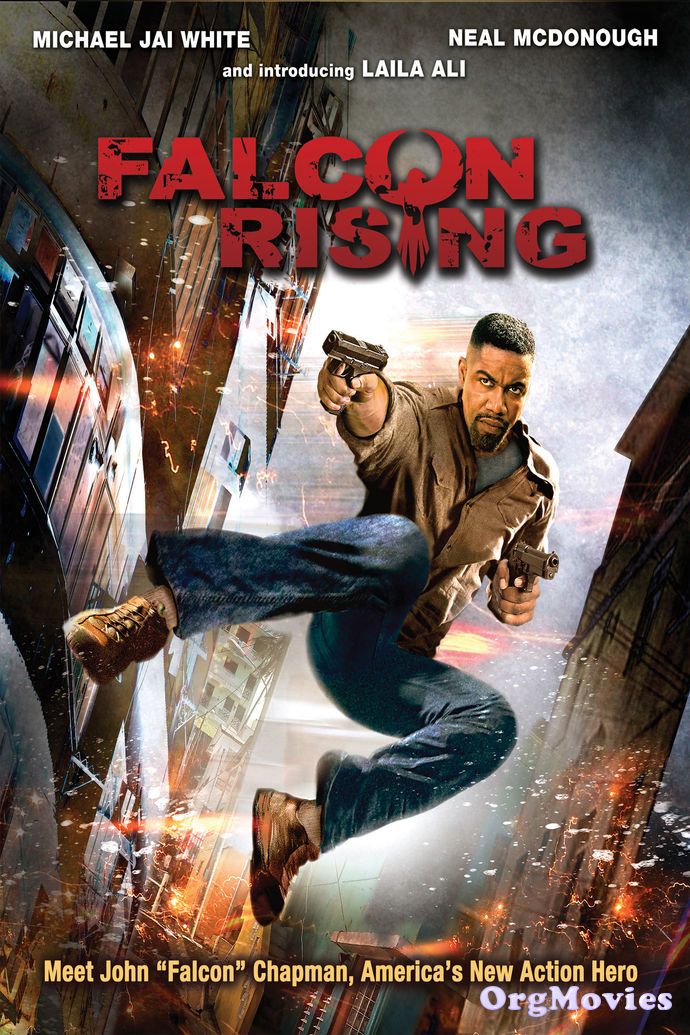 poster of Falcon Rising 2014 Full Movie In Hindi Dubbed