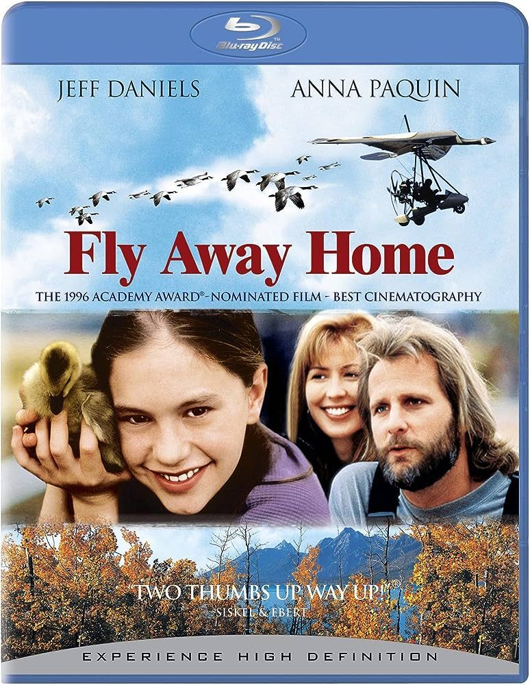 poster of Fly Away Home (1996) Hindi Dubbed