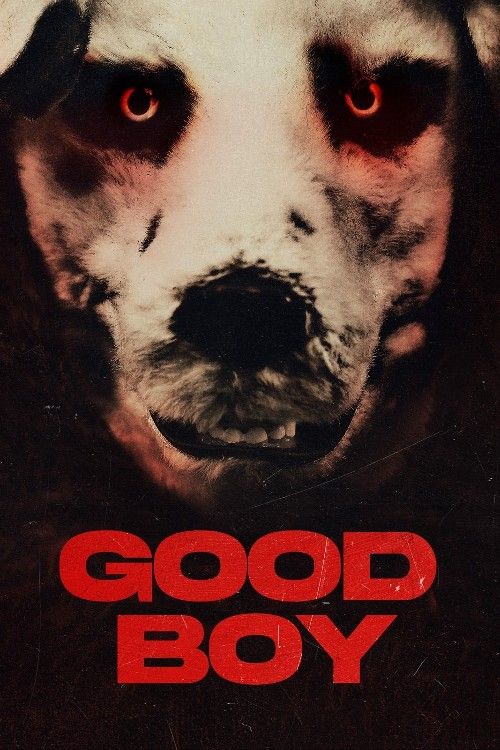 poster of Good Boy 2022 Hindi Dubbed Movie