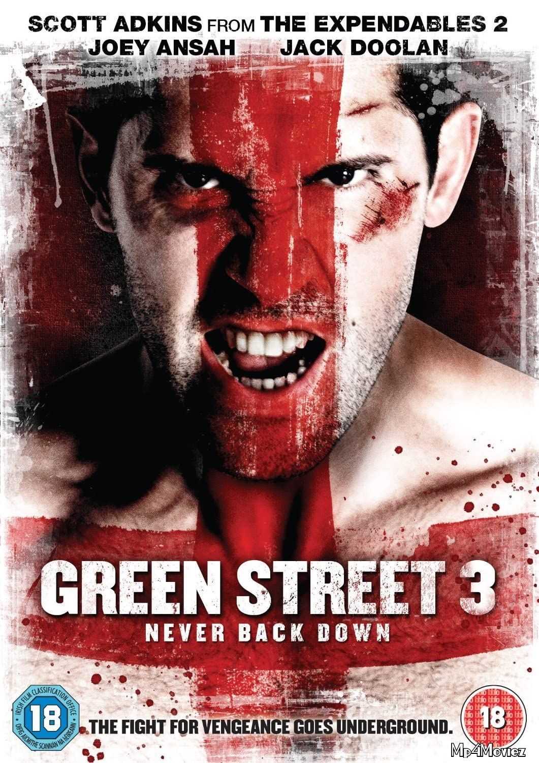 poster of Green Street 3: Never Back Down 2013 Hindi Dubbed Full Movie