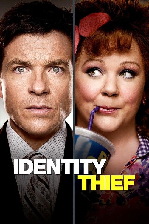 Identity Thief (2013) Hindi Dubbed download full movie