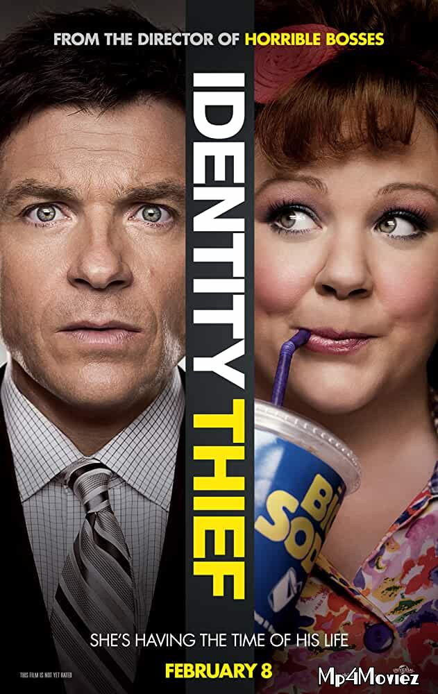 poster of Identity Thief 2013 Hindi Dubbed Full Movie