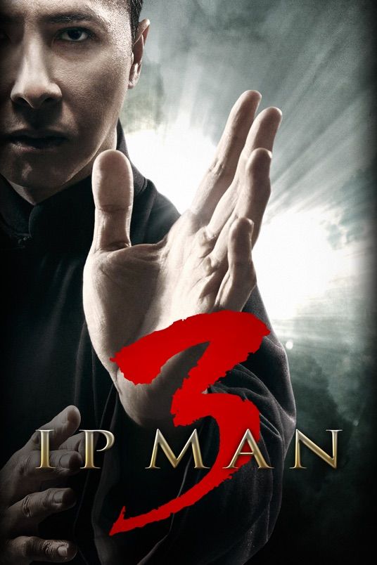 poster of Ip Man 3 (2015) Hindi Dubbed BluRay