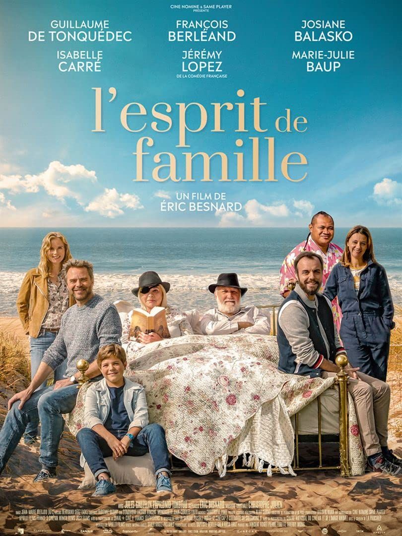 poster of Lesprit de famille (2019) Hindi Dubbed (Unofficial) WEBRip