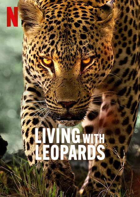 Living with Leopards (2024) English Movie download full movie