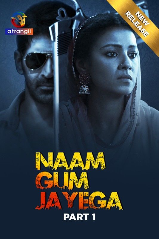 poster of Naam Gum Jayega (2024) S01 Part 1 Hindi Atrangii Web Series