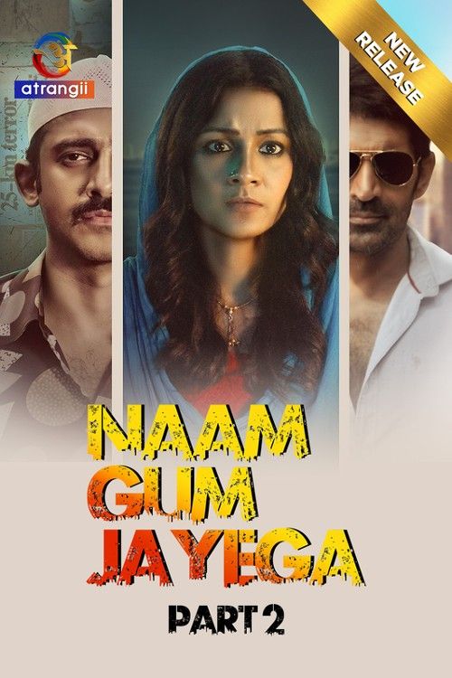 poster of Naam Gum Jayega (2024) S01 Part 2 Hindi Atrangii Web Series