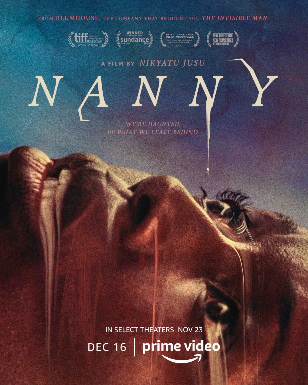 poster of Nanny (2022) ORG Hindi Dubbed Movie