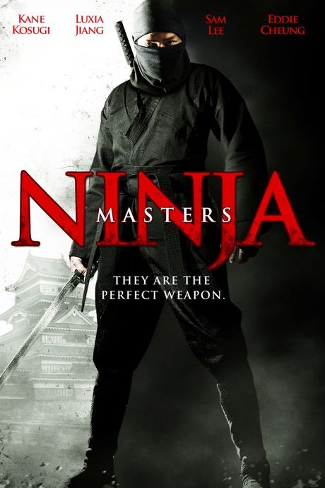 poster of Ninja Masters (2009) Hindi Dubbed HDTVRip