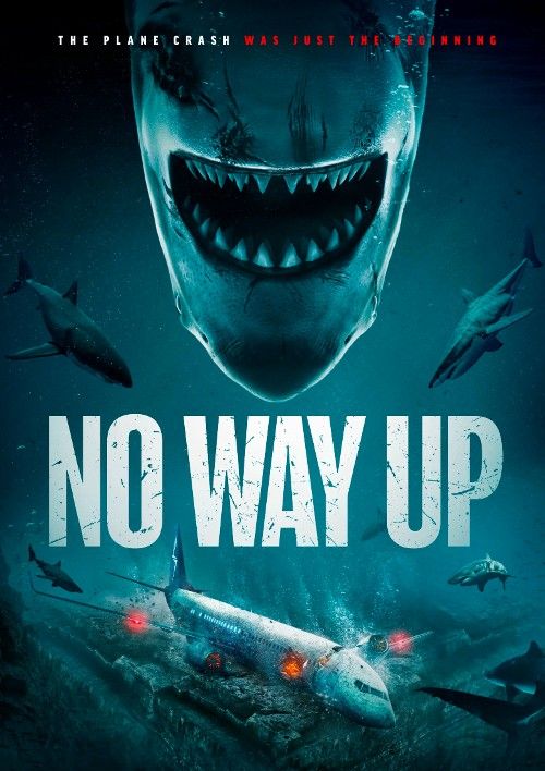 poster of No Way Up (2024) English Movie