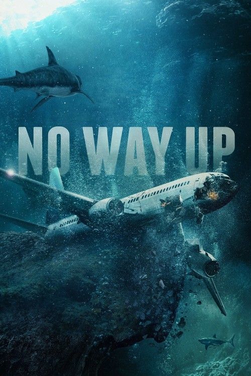 poster of No Way Up (2024) Hindi ORG Dubbed Movie