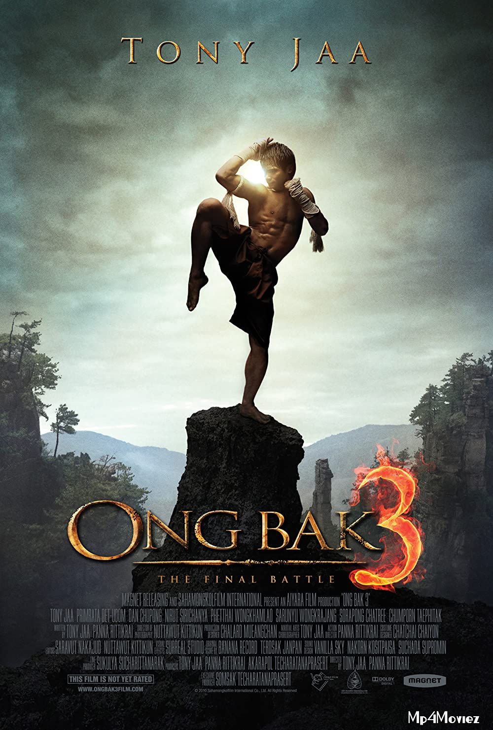 poster of Ong Bak 3 The Finale (2010) Hindi Dubbed BluRay